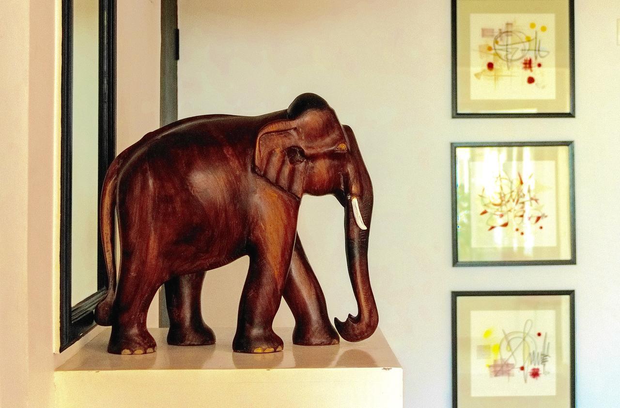 Petit Elephant Cherai Beach Exterior foto
